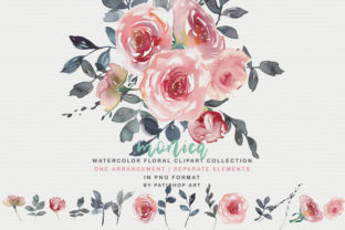Blush Watercolor Floral Clipart for Modern Branding and Marketing