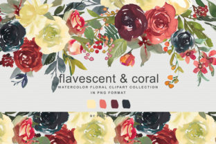 Flavescent Coral Watercolor Clipart Set: A Versatile Illustrations Boost for Branding