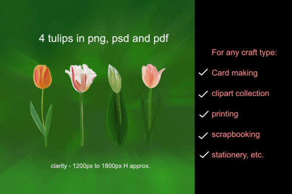 Floral Collection Watercolor Tulips