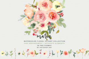 Vanilla and Blush Watercolor Floral Set: A Versatile Illustrations Asset for Creative Projects