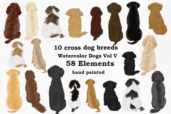 Watercolor Cross Breed Dogs Illustrations