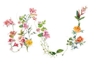 Watercolor Painting Flowers