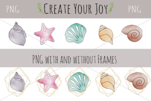 Watercolor Seashells with Illustrations