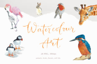 Watercolour Wall Art and Illustrations