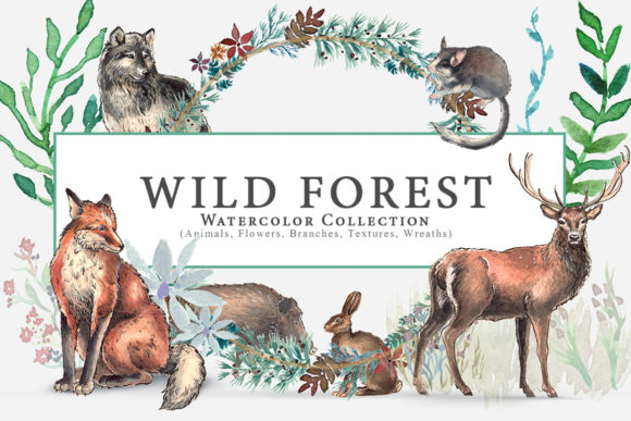 Wild Forest Watercolor Collection and Illustrations